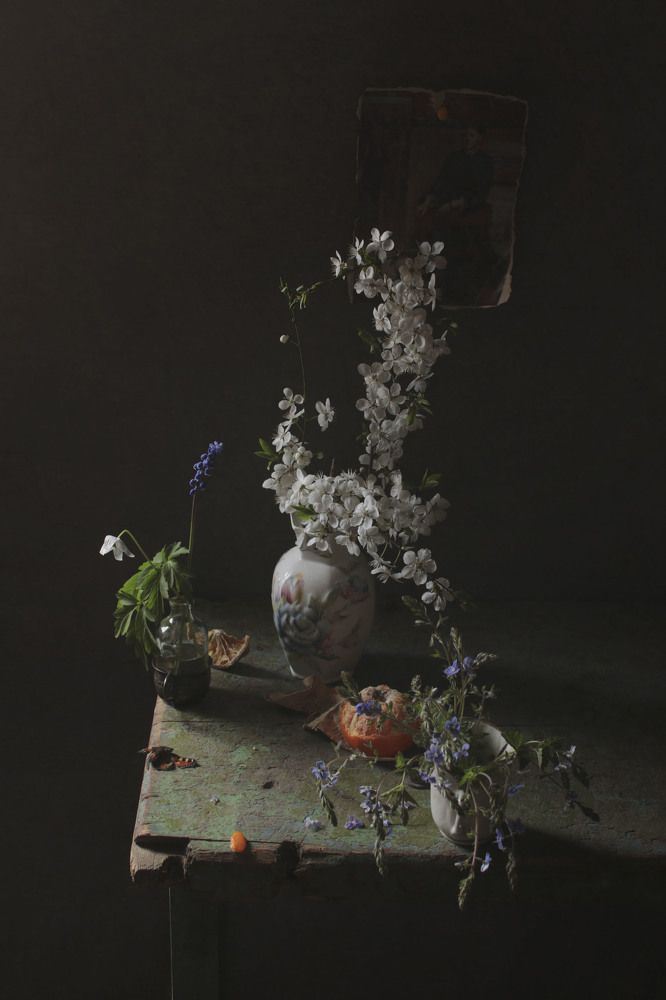 Фотография автора Коршак Елена