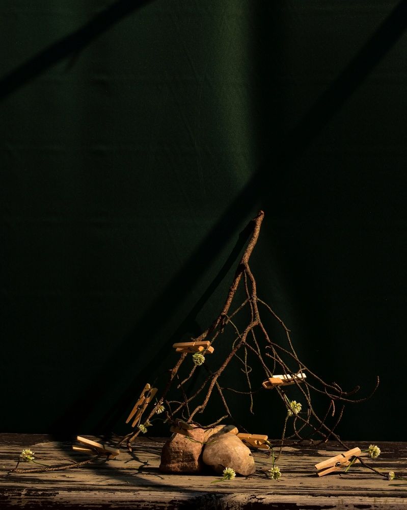 Photograph by Татьяна Носкович