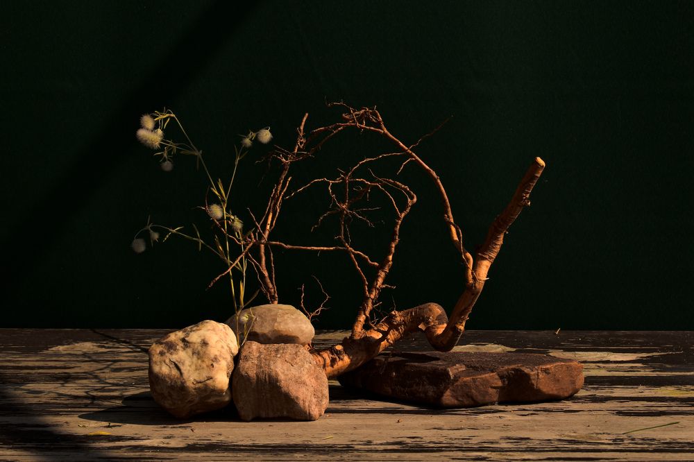 Photograph by Татьяна Носкович