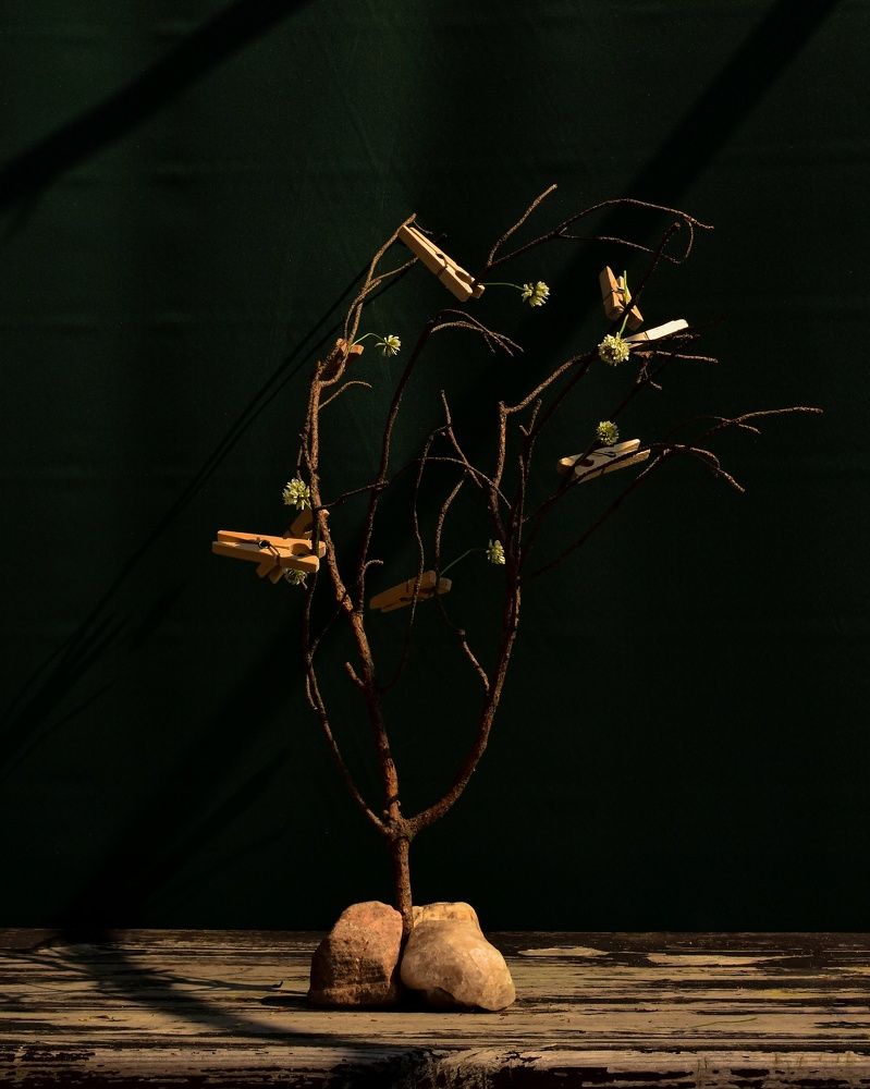 Photograph by Татьяна Носкович