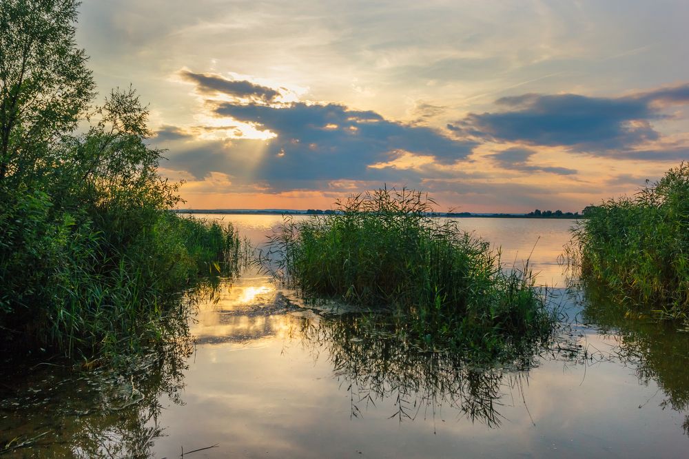 Photograph by Мария Фомичева