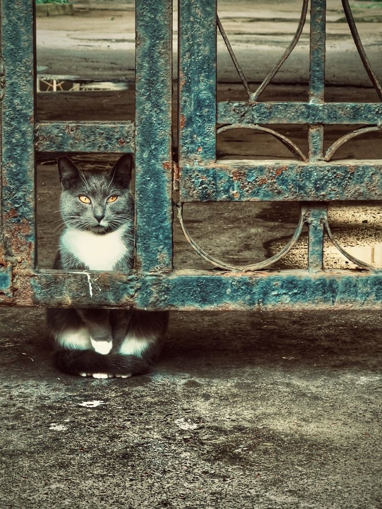 Photograph by Alena Kochergina