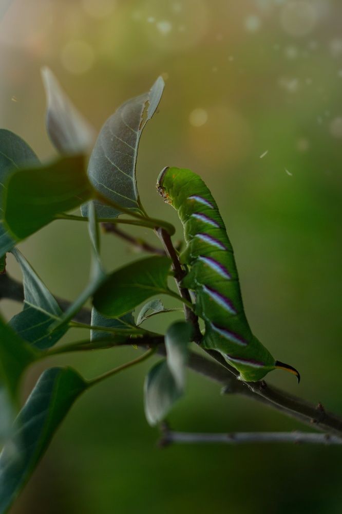 Photograph by Юлия Марфонова