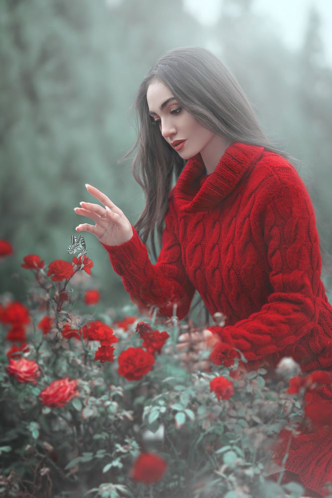 Photograph by mohammad naseri