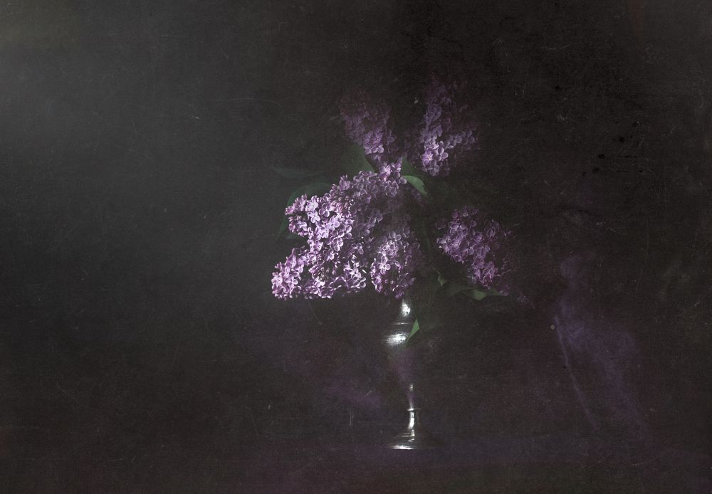 Photograph by Евгения Кинжакова