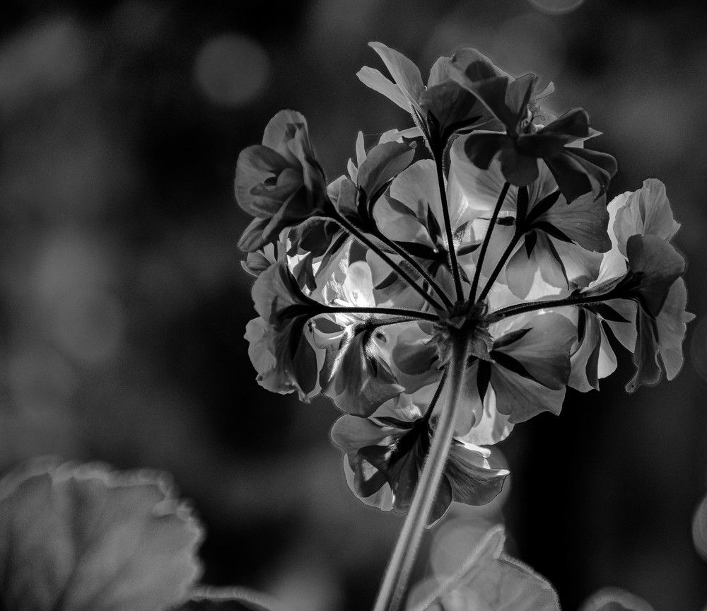 Photograph by Vitalii Kaznin