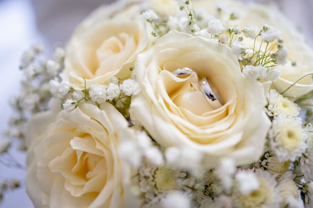 Photograph by Анатолий Климов