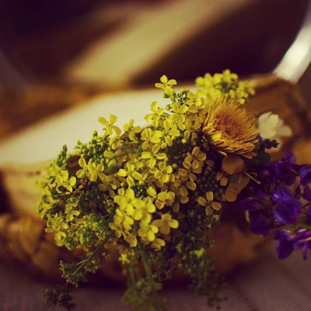 Photograph by Ksenia Paramonova