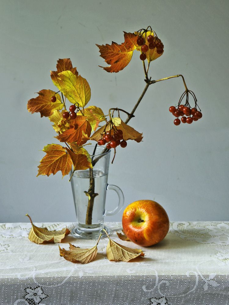 Photograph by Моложников Юрий