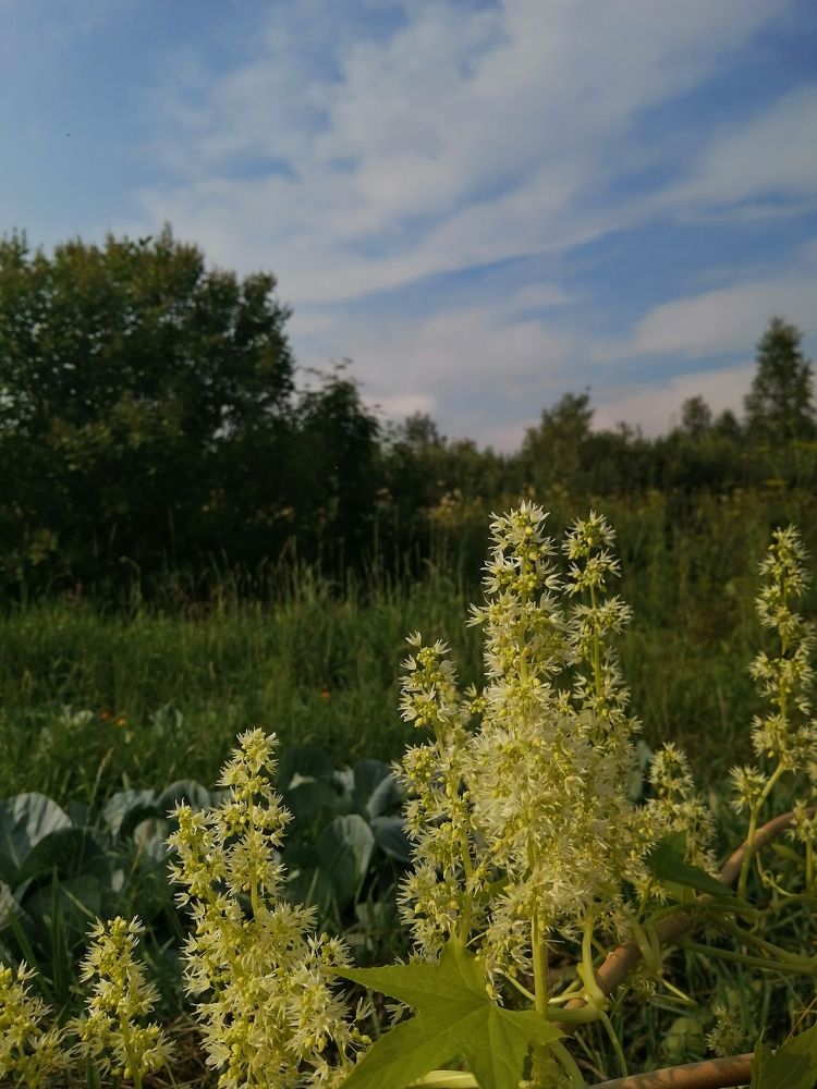 Photograph by Tany Pol