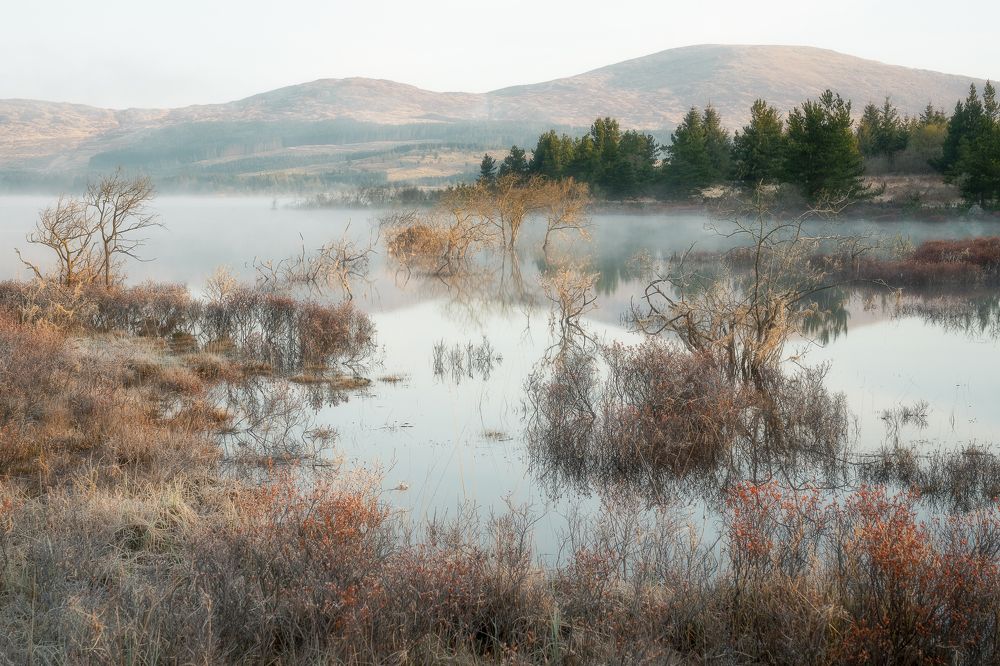 Photograph by Andy Fowlie