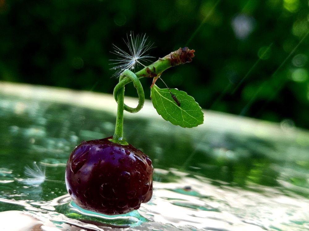 Photograph by Елена