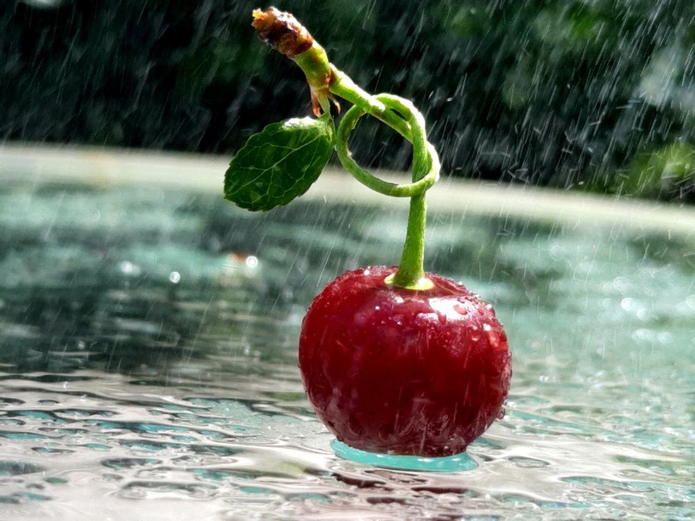 Photograph by Елена