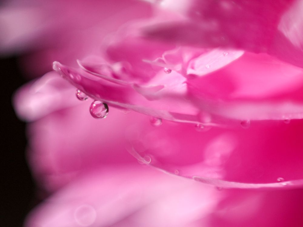 Photograph by Надежда