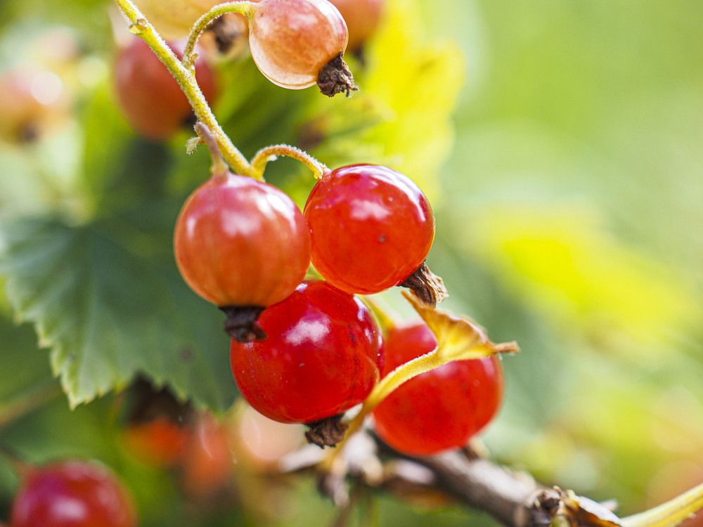 Photograph by Алексей Гнедовский