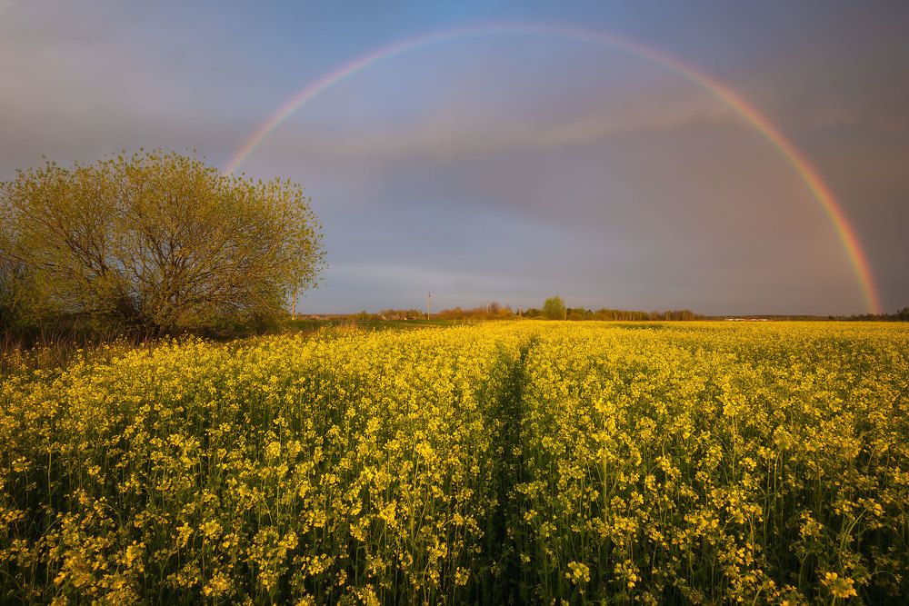 Летняя радуга