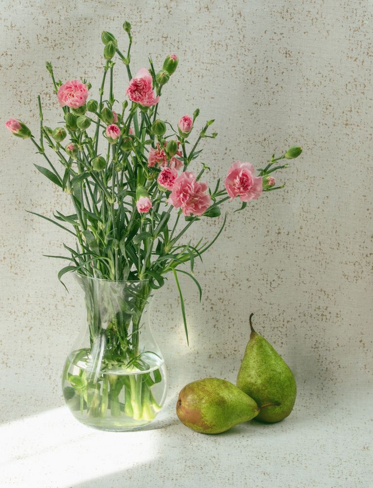 Photograph by Anna Kuzkina