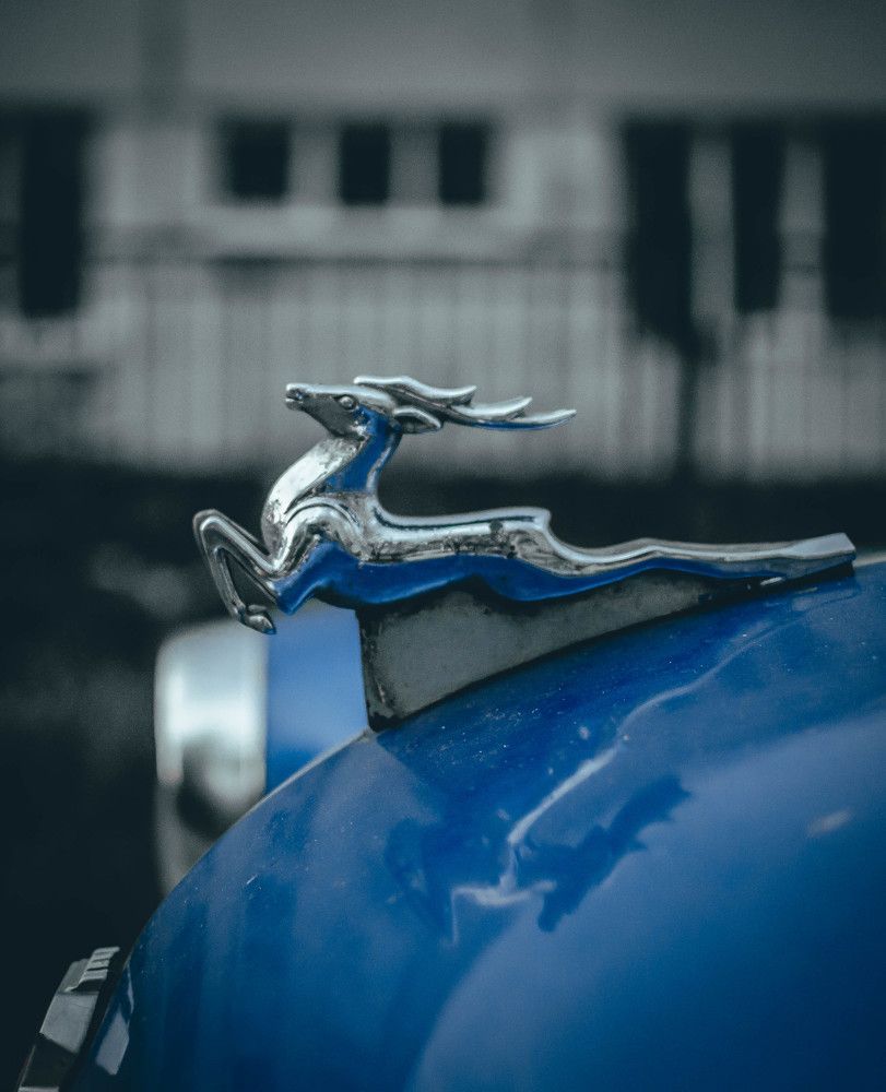 Photograph by Анастасия Тихомирова