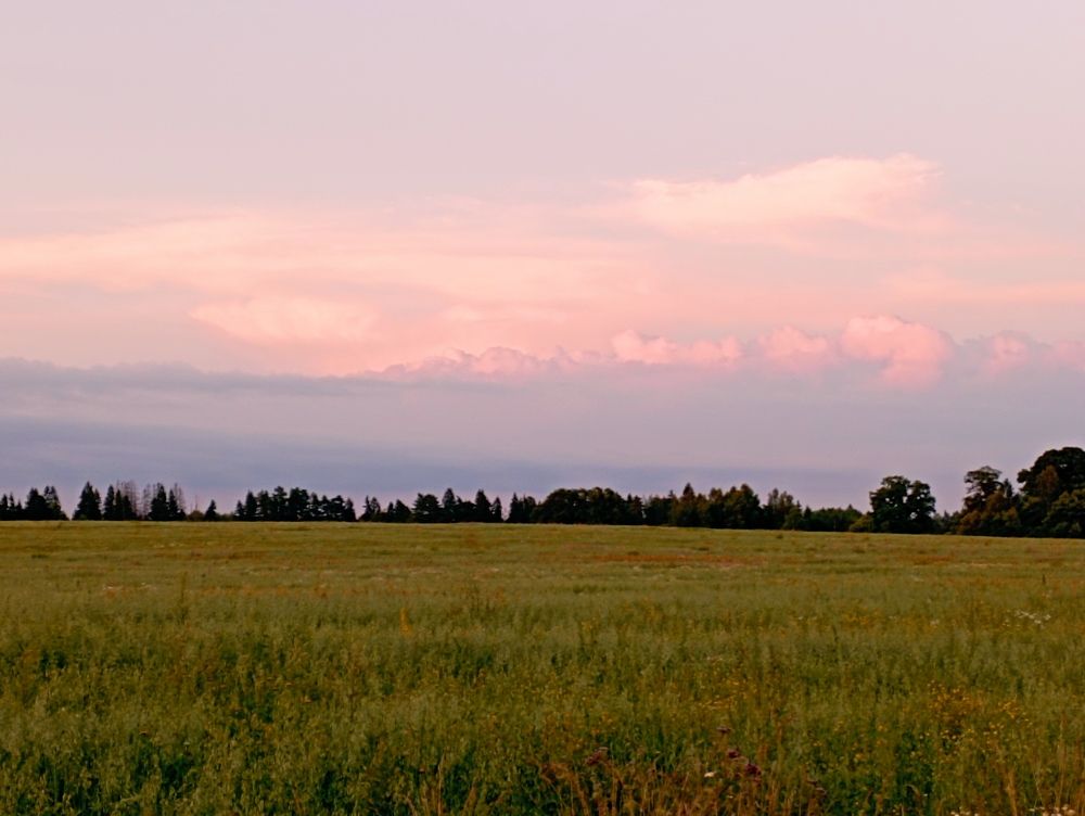 Photograph by Елена