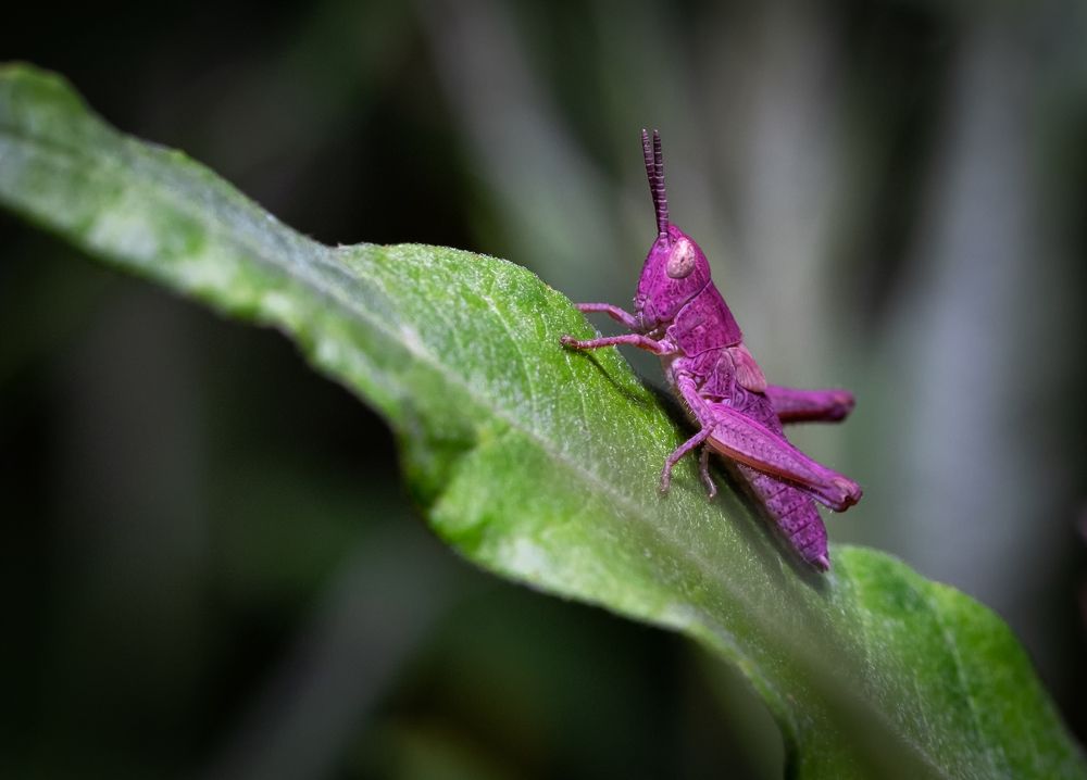 Photograph by Евгений Шпагин