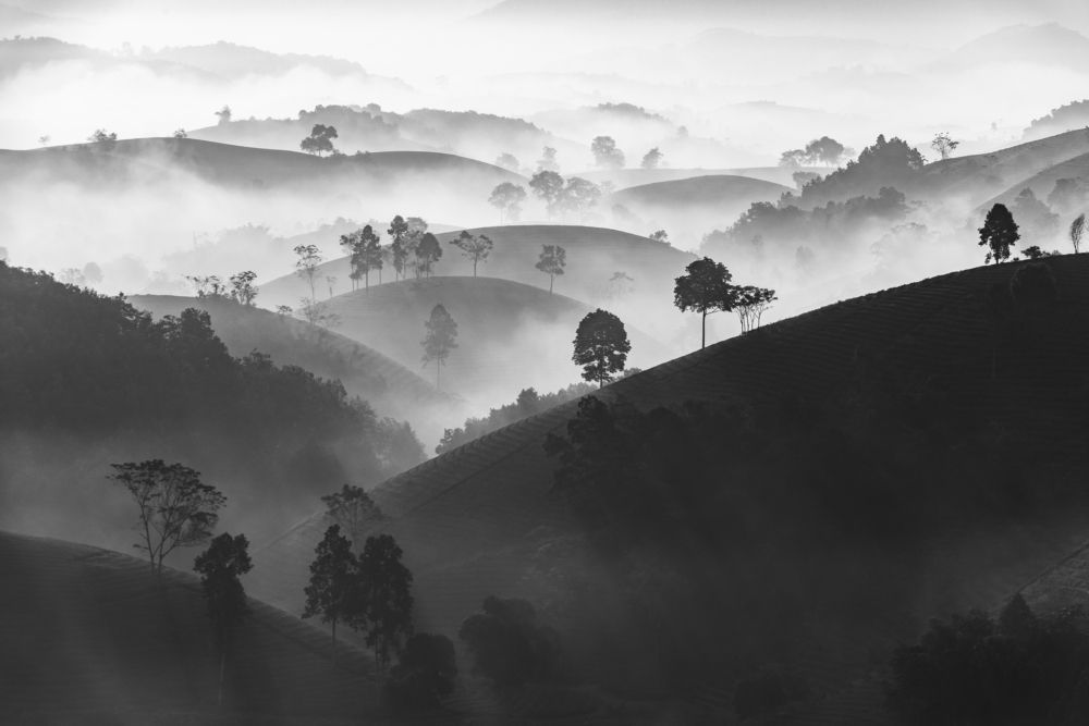 Photograph by Mai Anh Tú