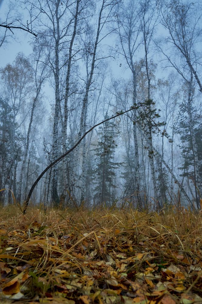 Фотография автора Игорь Игоревич