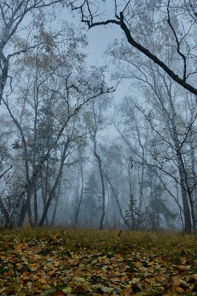 Фотография автора Игорь Игоревич