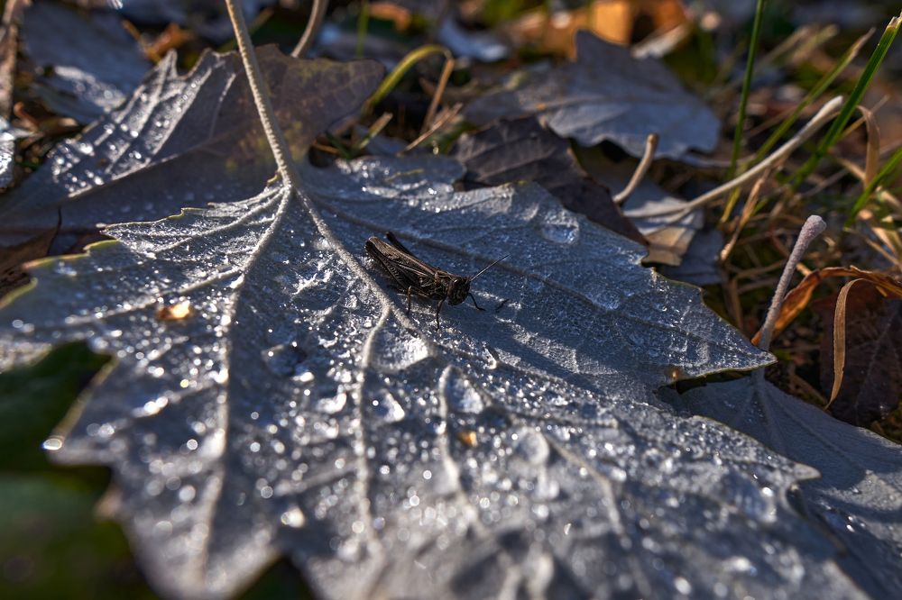 Photograph by Игорь Игоревич