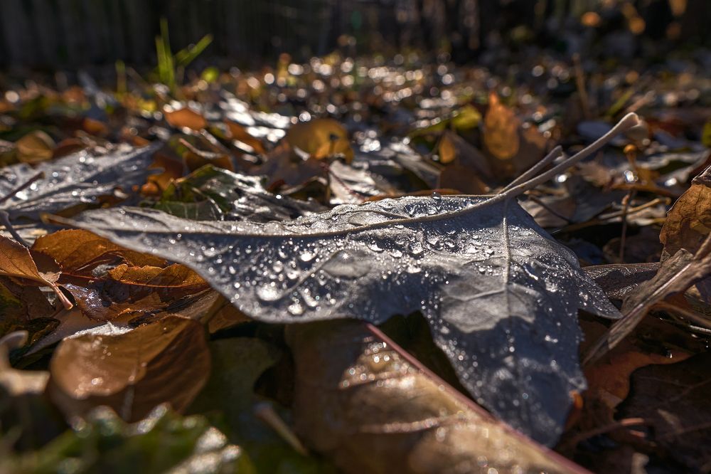 Фотография автора Игорь Игоревич