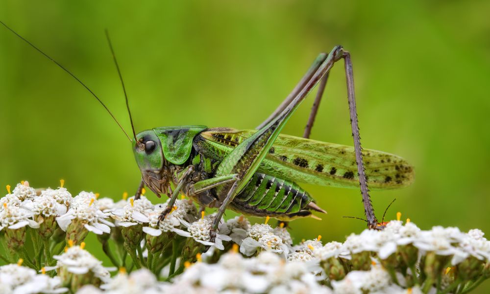 Photograph by Sergei Troitski