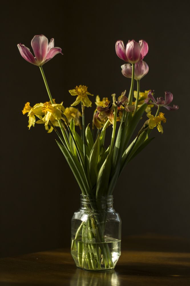 Photograph by Ольга Никишина