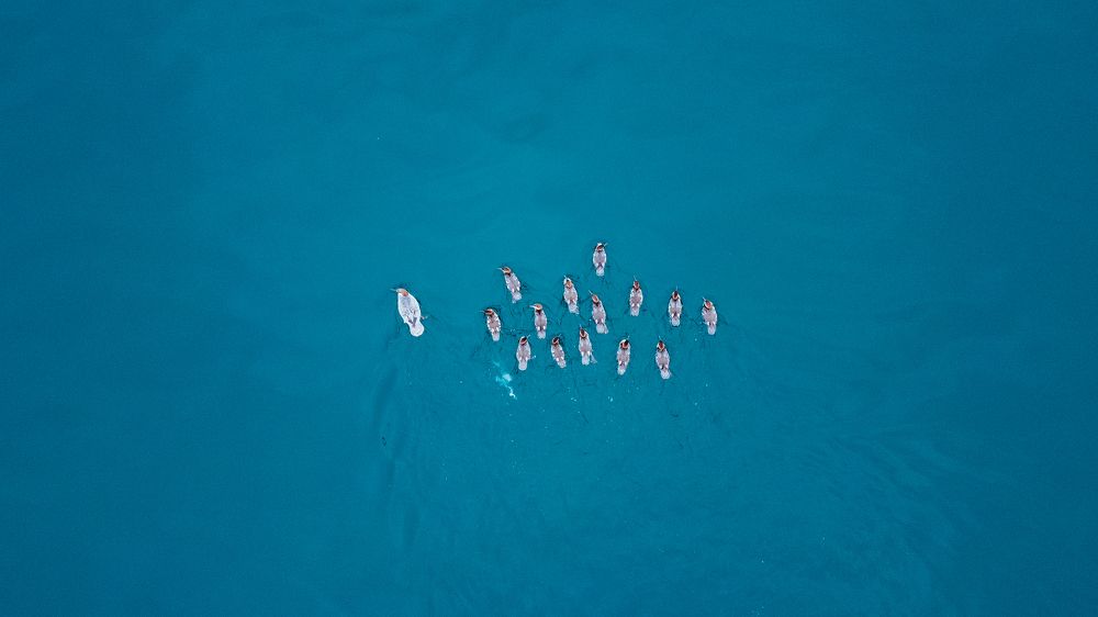 Photograph by Евгений Кузьмин