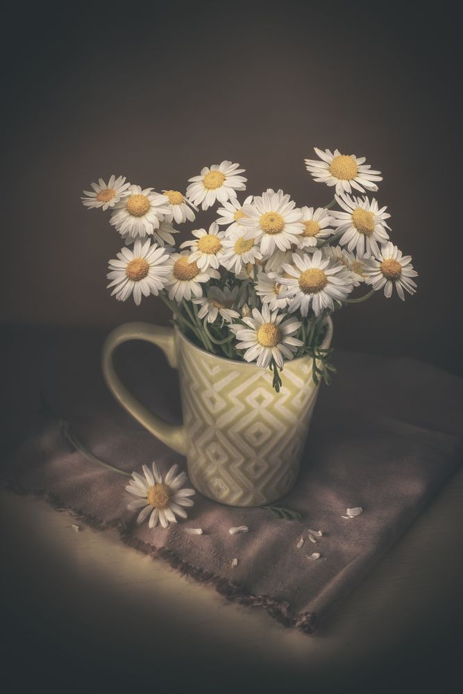 Фотография автора Игорь Баранов