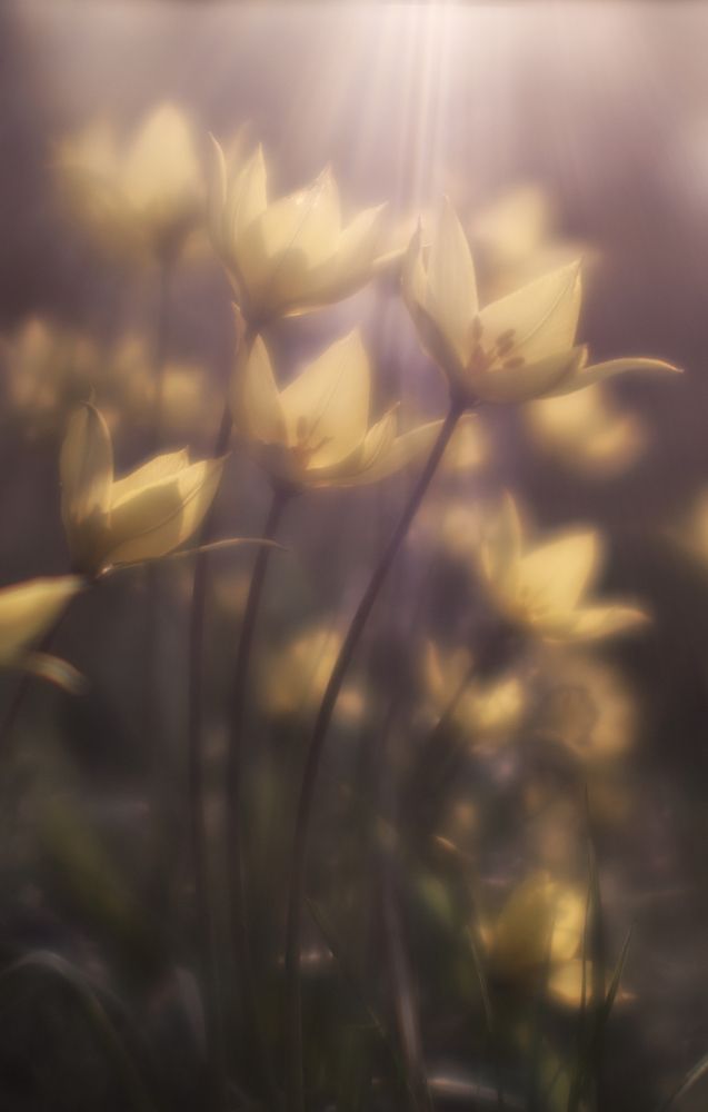 Фотография автора Игорь Баранов