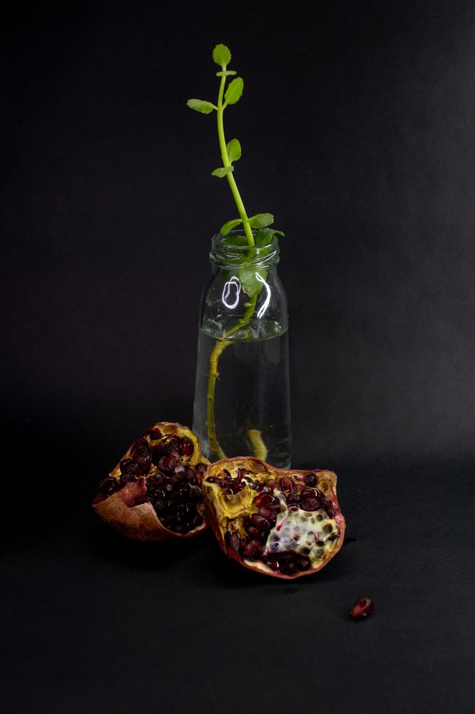 Photograph by Анастасия Галкина