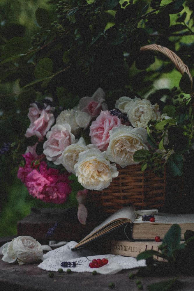 Photograph by Нина Сурнина