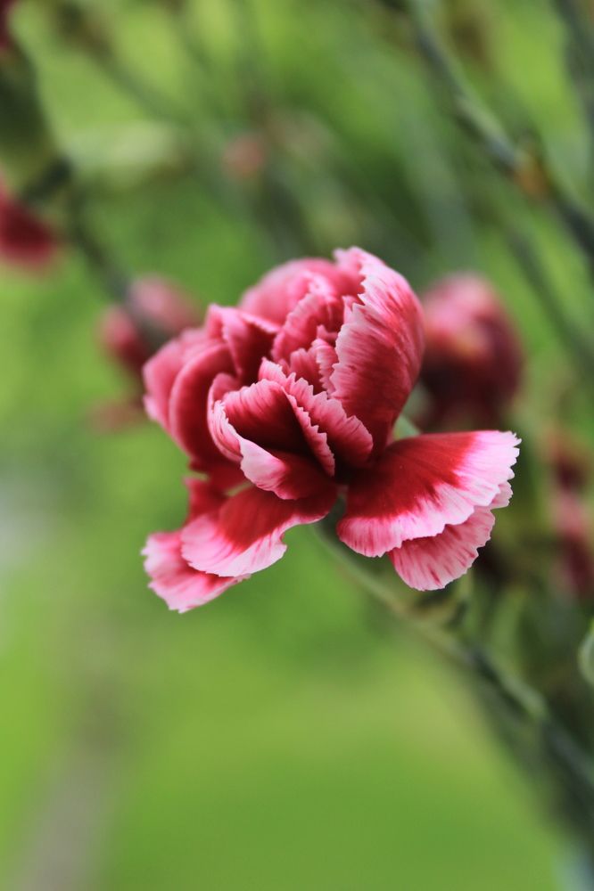 Photograph by Farah Ali