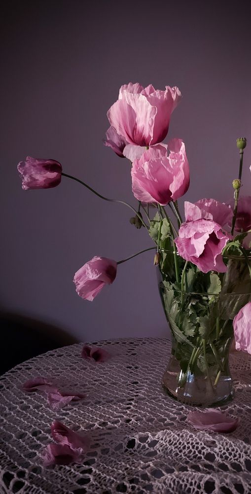 Photograph by Екатерина Ташина