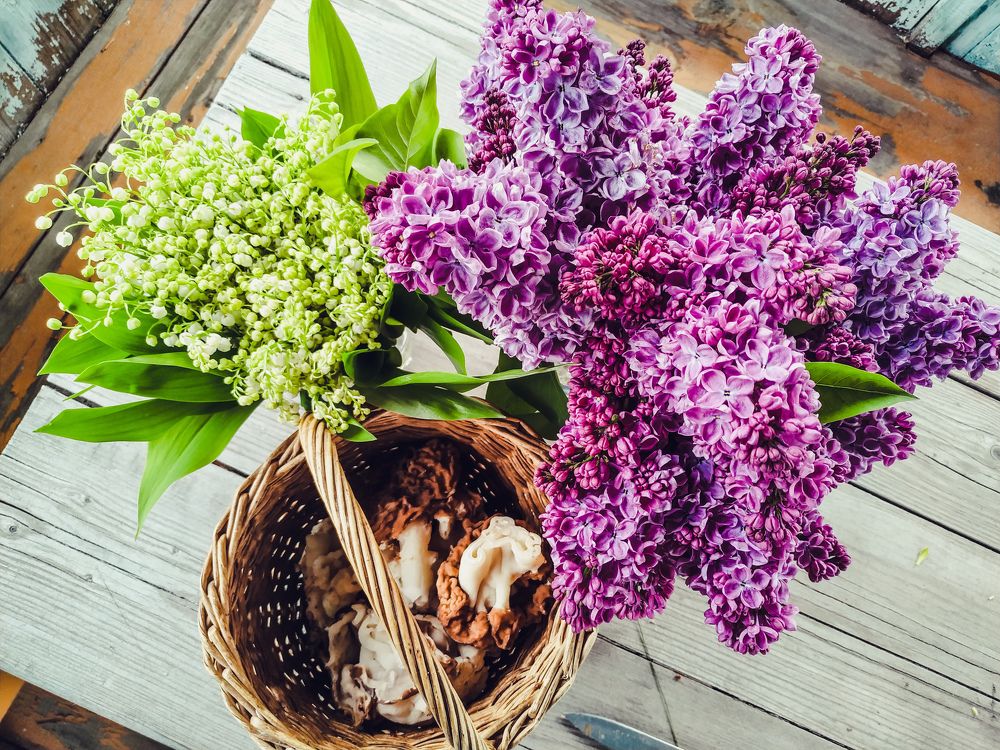 Photograph by Екатерина Васильева