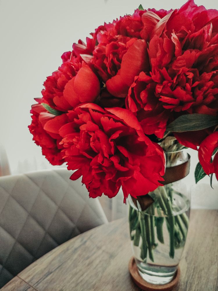 Photograph by Екатерина Васильева