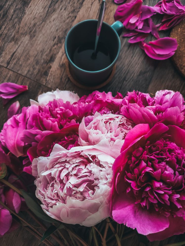 Photograph by Екатерина Васильева