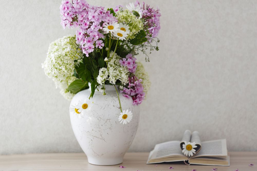 Photograph by Елена Буканина