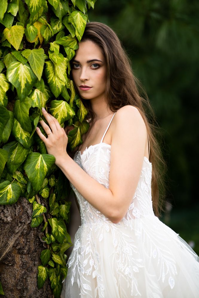 Photograph by Dariusz Mikoś