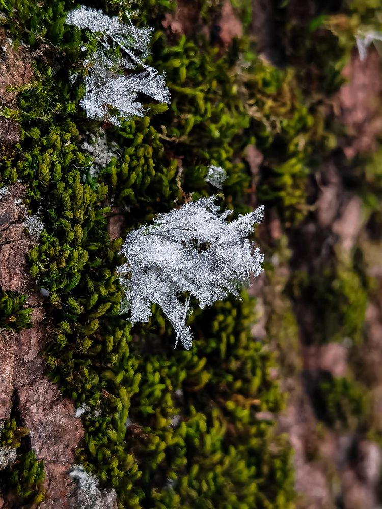Фотография автора Софья