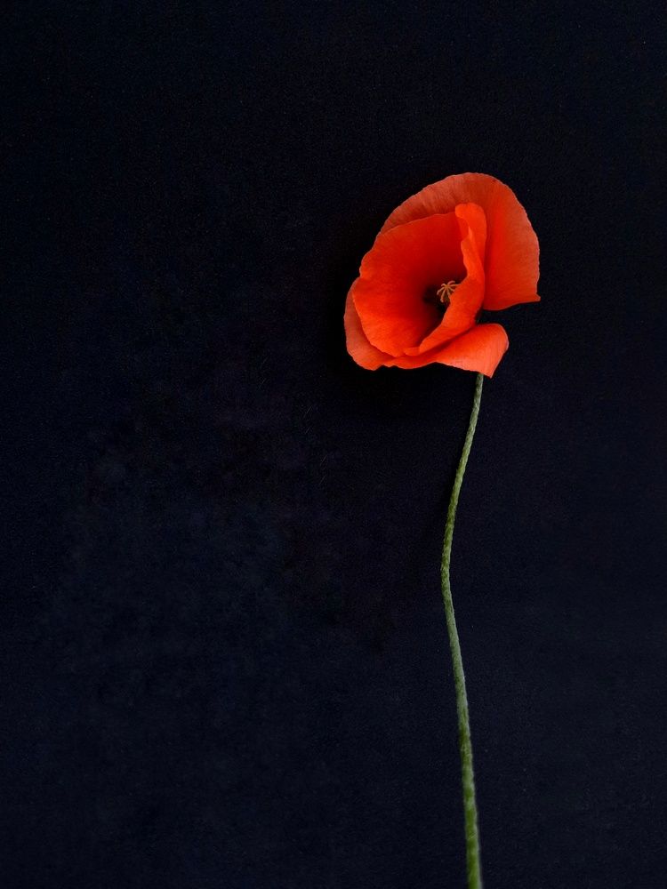 Photograph by Мария