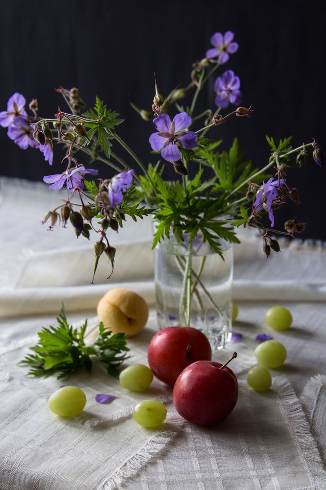 Фотография автора Эльвира Викторовна