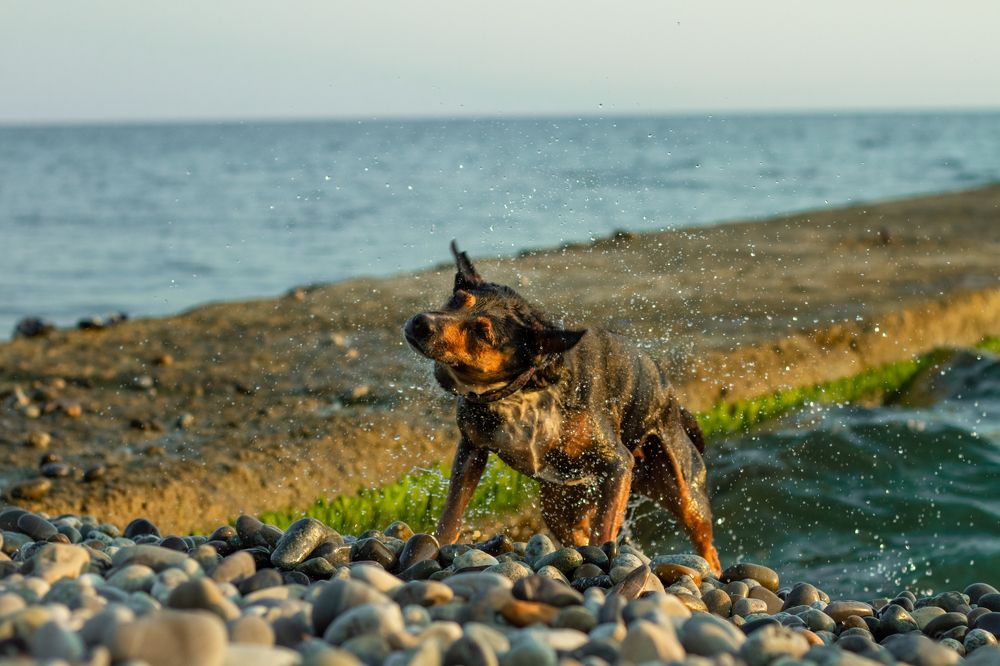 Photograph by Вера Наземкина - Соколова