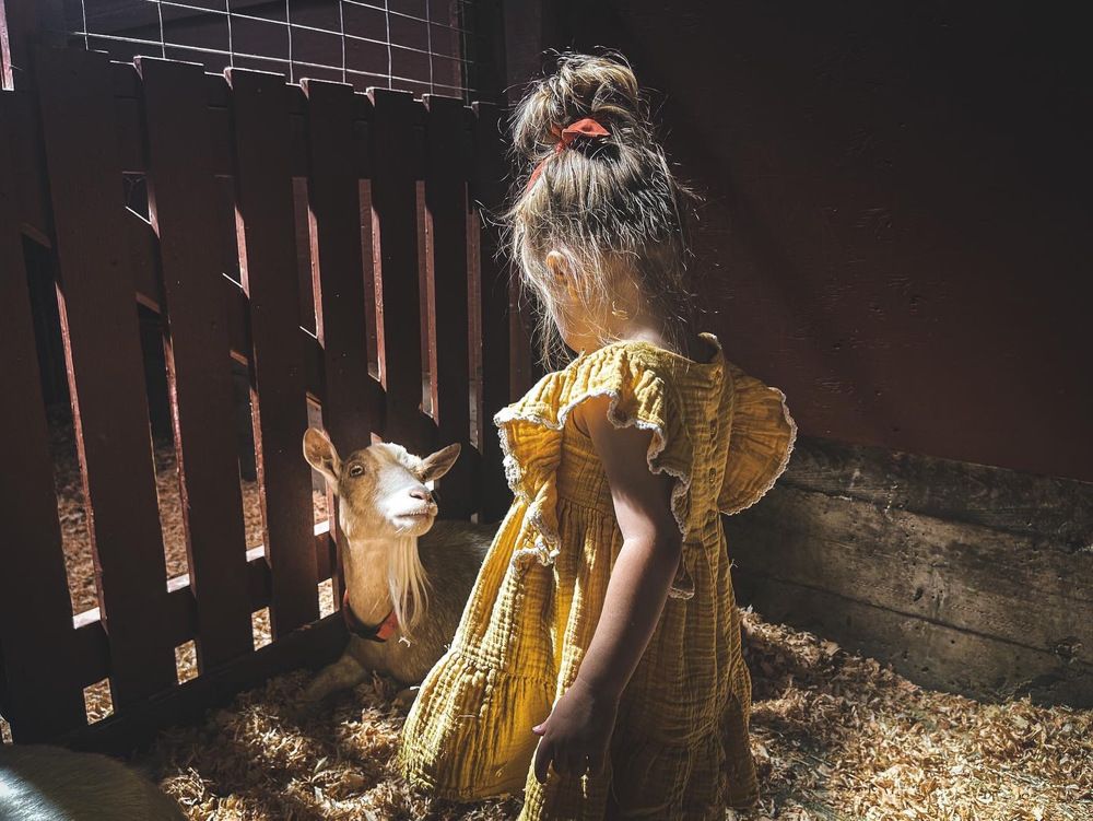 Photograph by Natalia Everatt