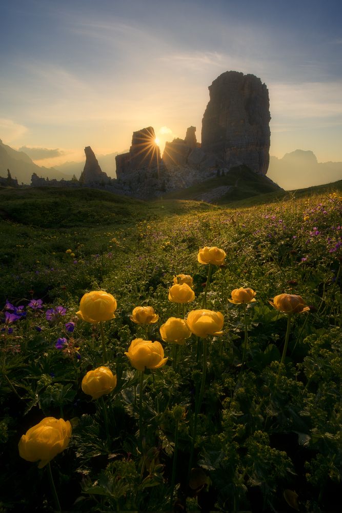 Photograph by Marco Grosso