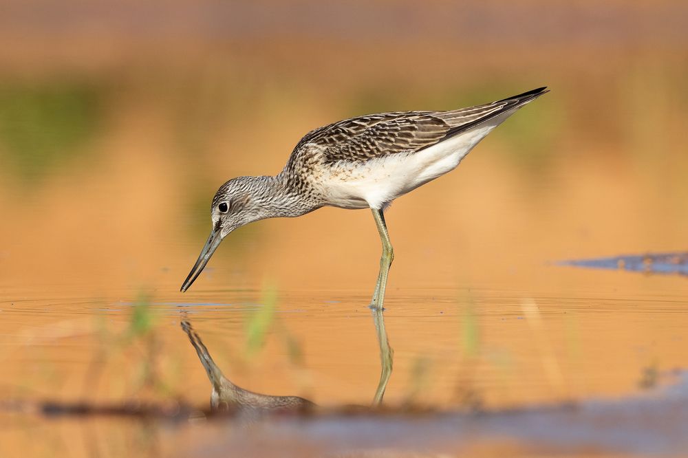 Photograph by Павел Краснослободцев